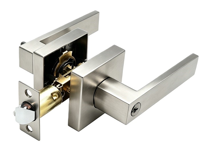 6 Series Door Lever  Lock Overview