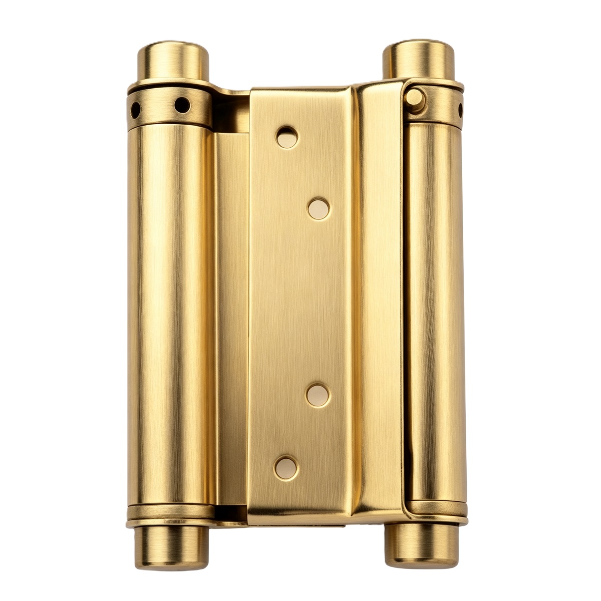 Solid Brass Double Action Spring Hinge