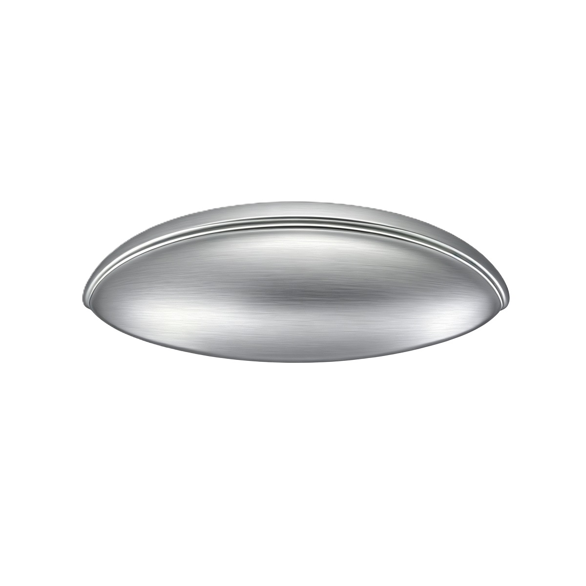 Oval Shell Stainless Steel Furniture Pull Handle